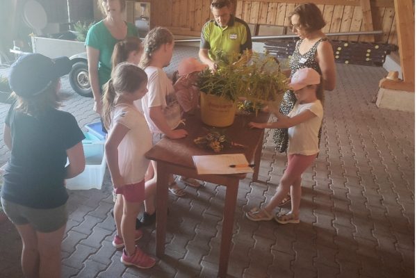 Erst wurden die Kräuter nochmal kurz benannt