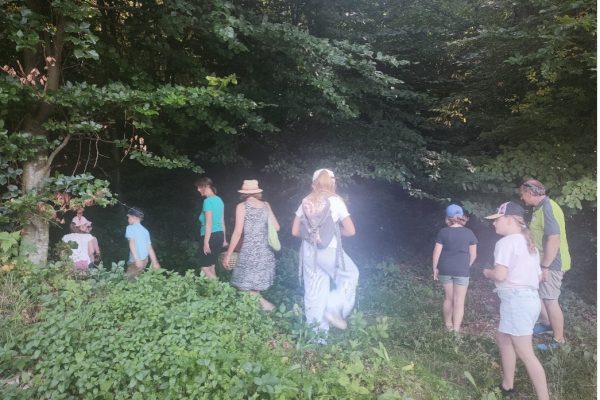 Widkräuter wachsen am Wegrand