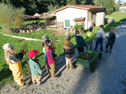 Ausbeute Kartoffelernte der Naturgruppe Kirchberg